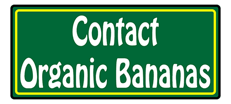 Contact Wholesale Organic Bananas Sydney Australia