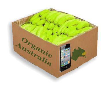 Contact Wholesale Organic Bananas Sydney